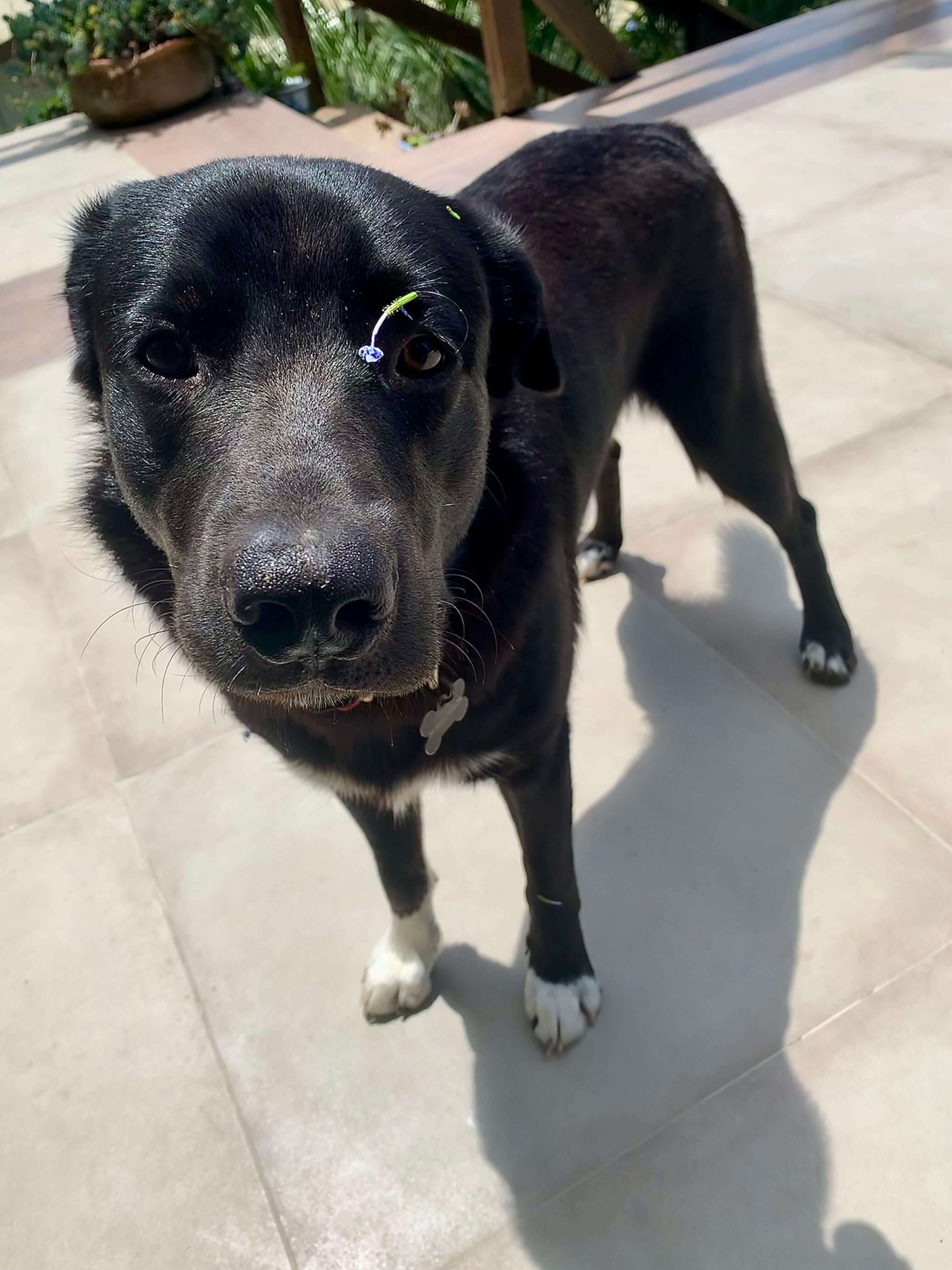 Woman Sit On The Floor